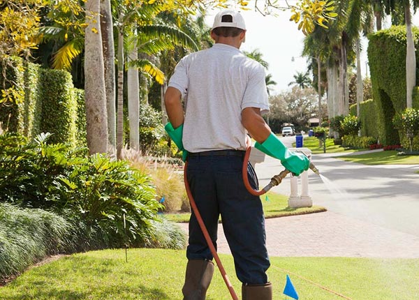 About Stevensburg VA Pest Control